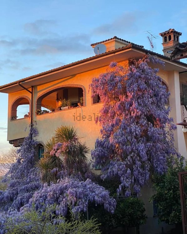 casa indipendente in vendita a Selci