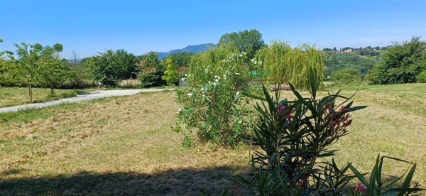 terreno agricolo in vendita a Selci