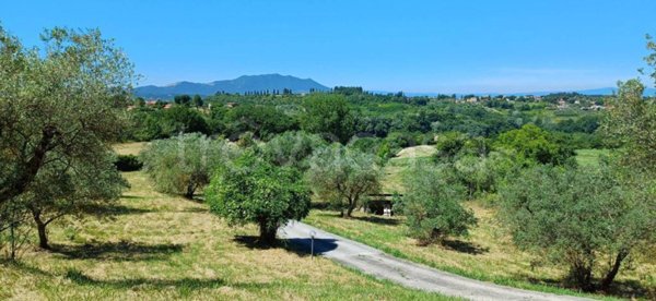 terreno agricolo in vendita a Selci
