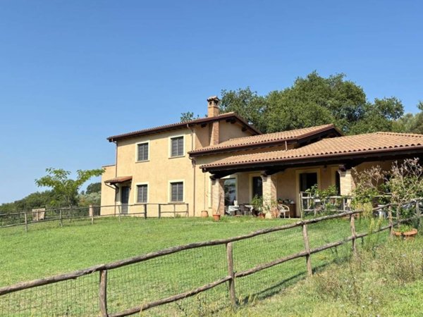 casa indipendente in vendita a Selci