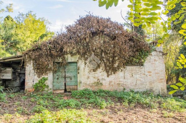 negozio in vendita a Selci