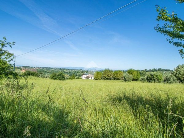terreno agricolo in vendita a Selci
