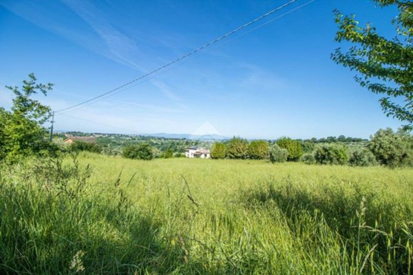 immagine annuncio 0 di 5