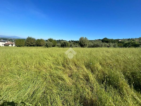 terreno agricolo in vendita a Selci