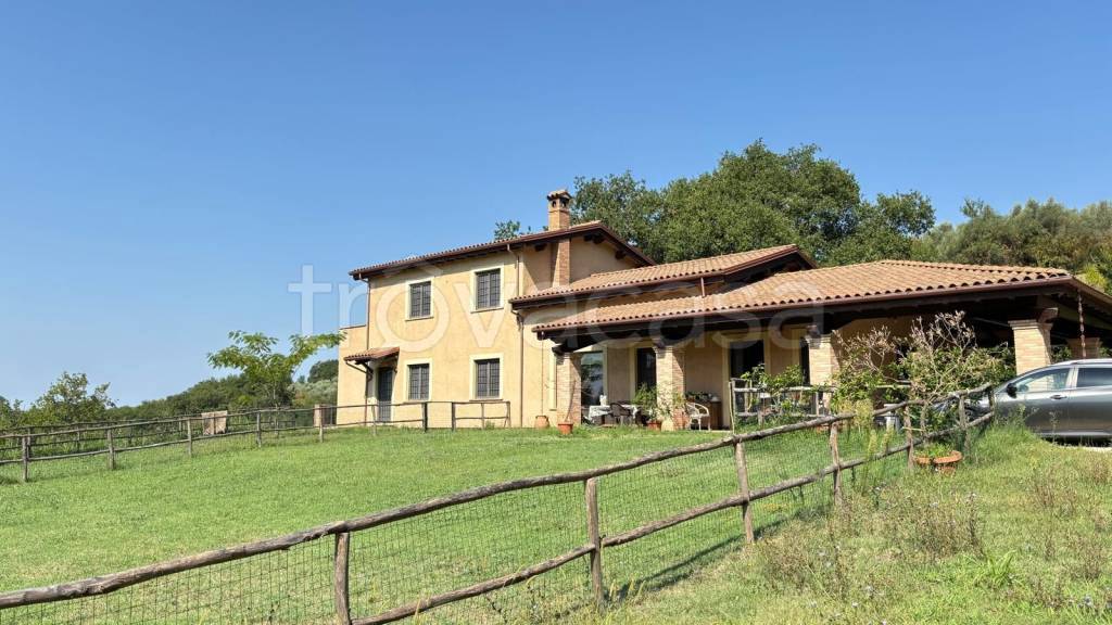 casa indipendente in vendita a Selci