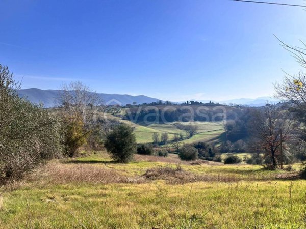 terreno agricolo in vendita a Selci