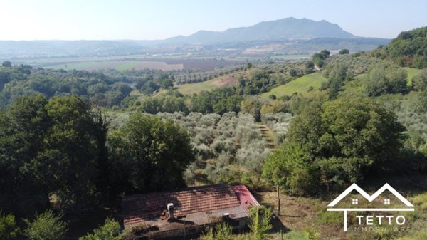 appartamento in vendita a Stimigliano