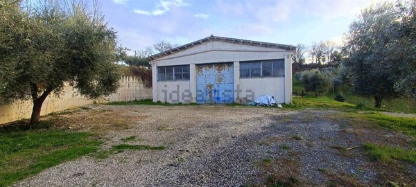 terreno agricolo in vendita a Stimigliano