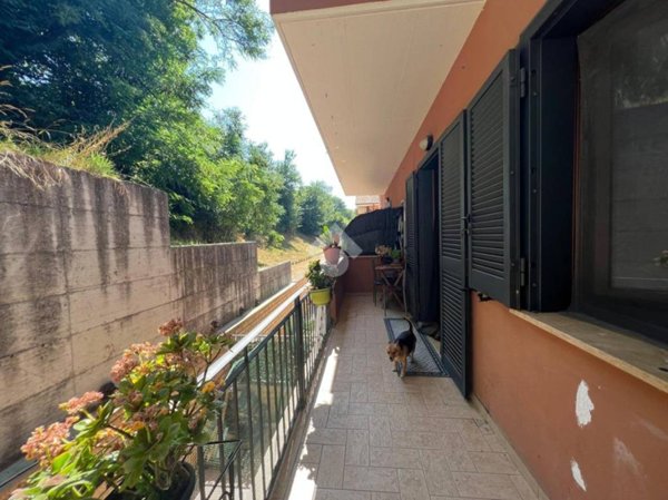 appartamento in vendita a Stimigliano
