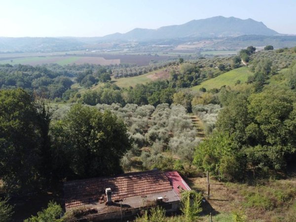 locale commerciale in vendita a Stimigliano