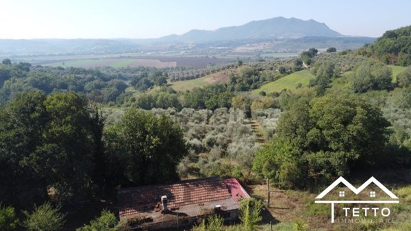 appartamento in vendita a Stimigliano