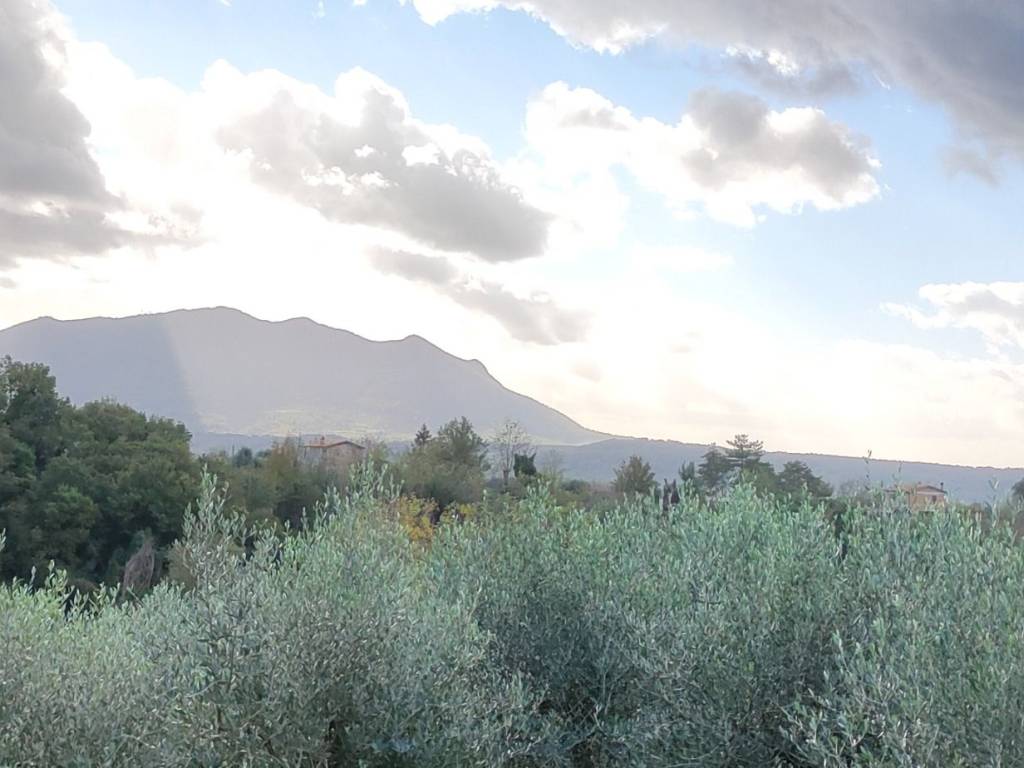 terreno agricolo in vendita a Stimigliano