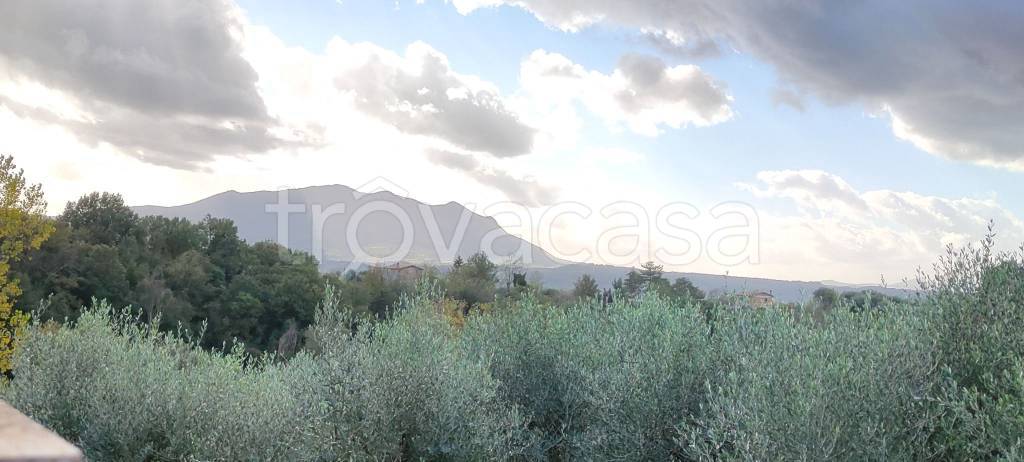 terreno agricolo in vendita a Stimigliano