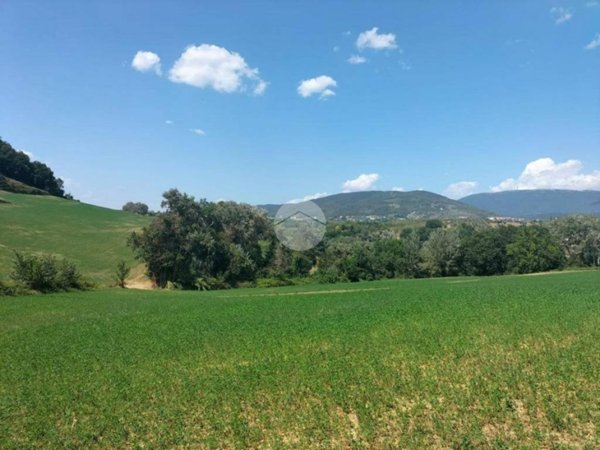terreno agricolo in vendita a Tarano