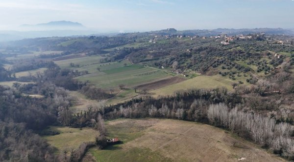 terreno agricolo in vendita a Tarano