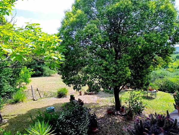 casa indipendente in vendita a Tarano