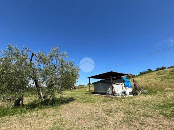 terreno agricolo in vendita a Tarano