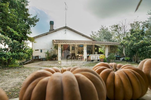 casa indipendente in vendita a Tarano