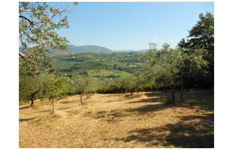 terreno edificabile in vendita a Toffia