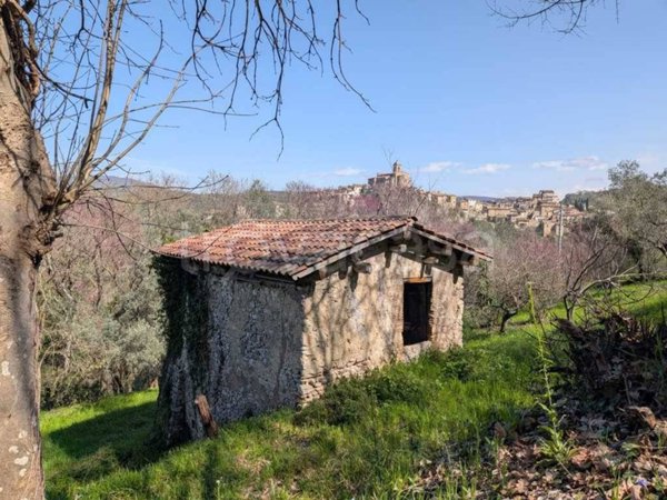 casa indipendente in vendita a Toffia