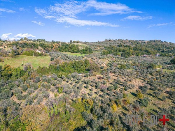 negozio in vendita a Toffia