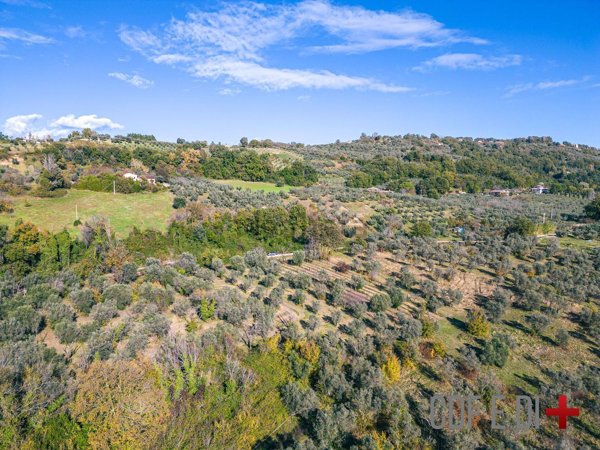 terreno agricolo in vendita a Toffia