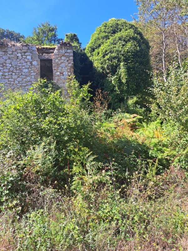 appartamento in vendita a Torricella in Sabina