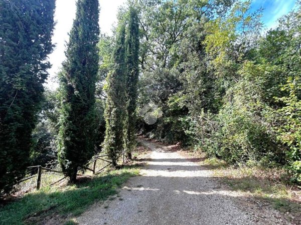 terreno agricolo in vendita a Torri in Sabina