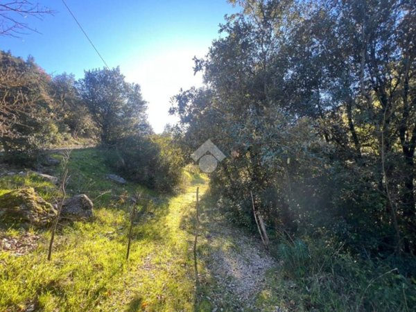 terreno agricolo in vendita a Torri in Sabina