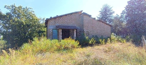 appartamento in vendita a Torri in Sabina