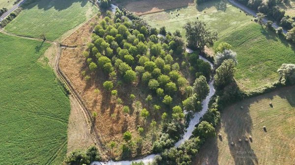 terreno agricolo in vendita a Torri in Sabina