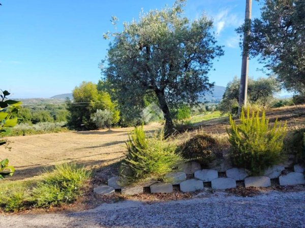 negozio in vendita a Torri in Sabina