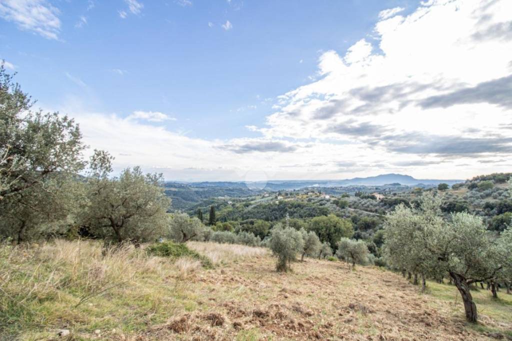 terreno agricolo in vendita a Torri in Sabina