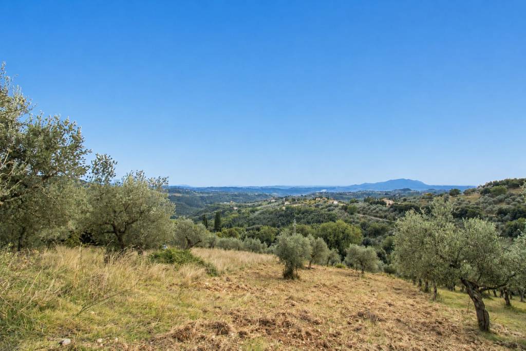 terreno agricolo in vendita a Torri in Sabina
