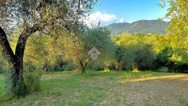 terreno agricolo in vendita a Torri in Sabina