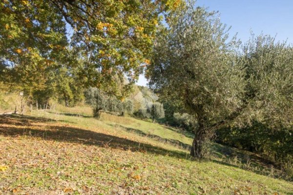 terreno agricolo in vendita a Torri in Sabina