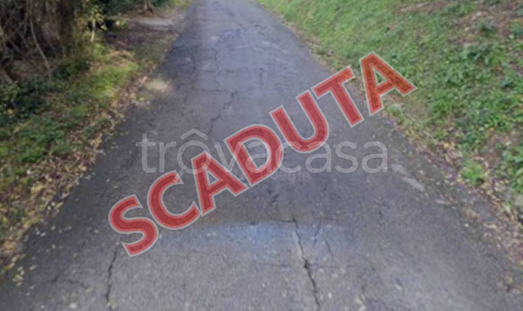 terreno agricolo in vendita a Torri in Sabina