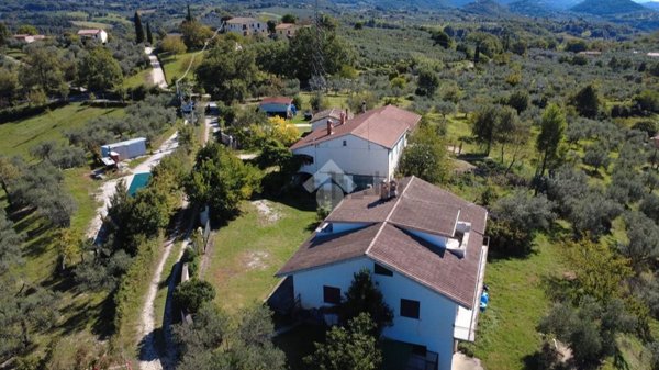 immagine annuncio 0 di 1