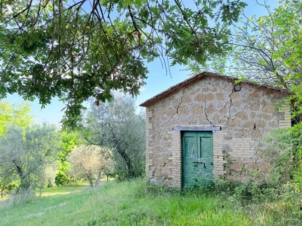 terreno agricolo in vendita a Torri in Sabina