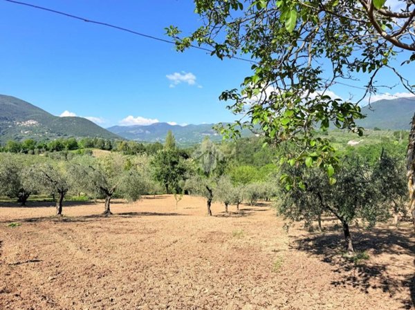 terreno agricolo in vendita a Torri in Sabina