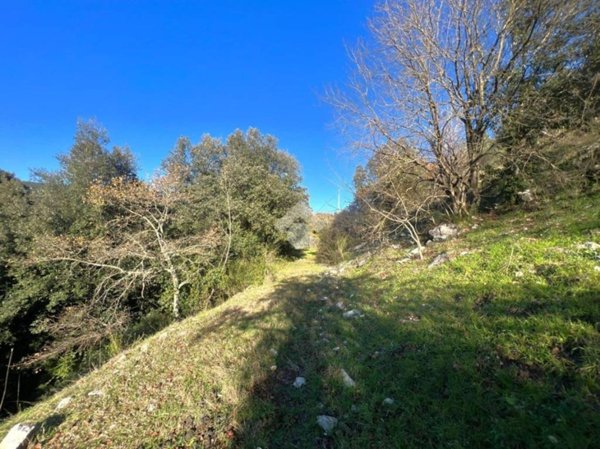 terreno agricolo in vendita a Torri in Sabina