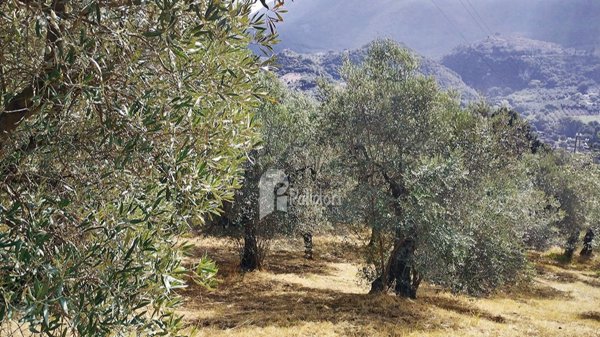 terreno in vendita a Torri in Sabina
