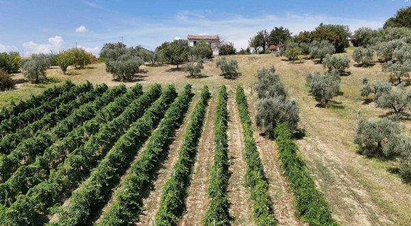 casa indipendente in vendita a Torri in Sabina