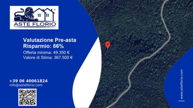 terreno agricolo in vendita a Vacone