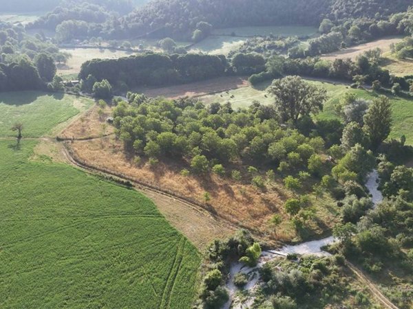 terreno agricolo in vendita a Vacone