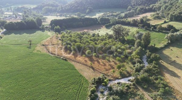 terreno agricolo in vendita a Vacone