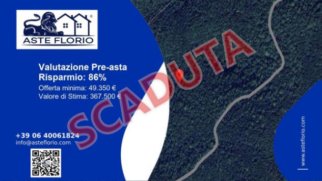 terreno agricolo in vendita a Vacone