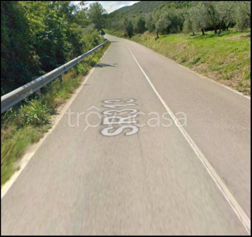 terreno agricolo in vendita a Vacone
