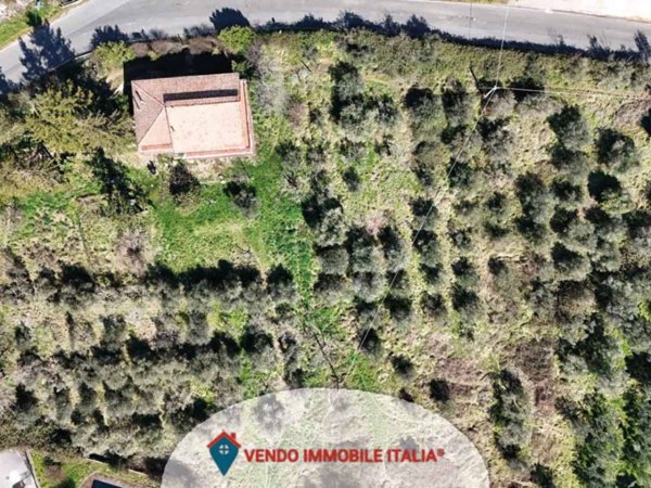 terreno agricolo in vendita ad Affile