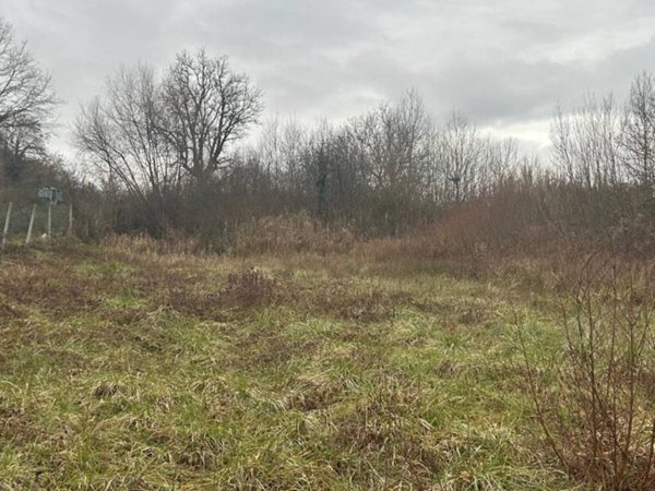 negozio in vendita ad Agosta